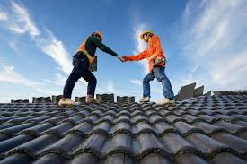 Best Green or Eco-Friendly Roofing Solutions  in Davison, MI